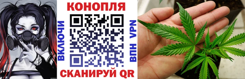 Шишки марихуана White Widow  Камызяк 